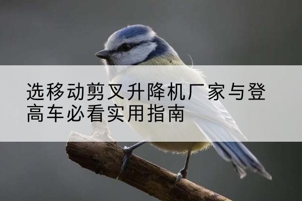 武进电动升降机厂家-选移动剪叉升降机厂家与登高车必看实用指南