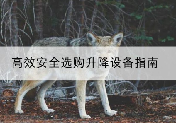 武进升降货梯厂家推荐-*安全选购升降设备指南